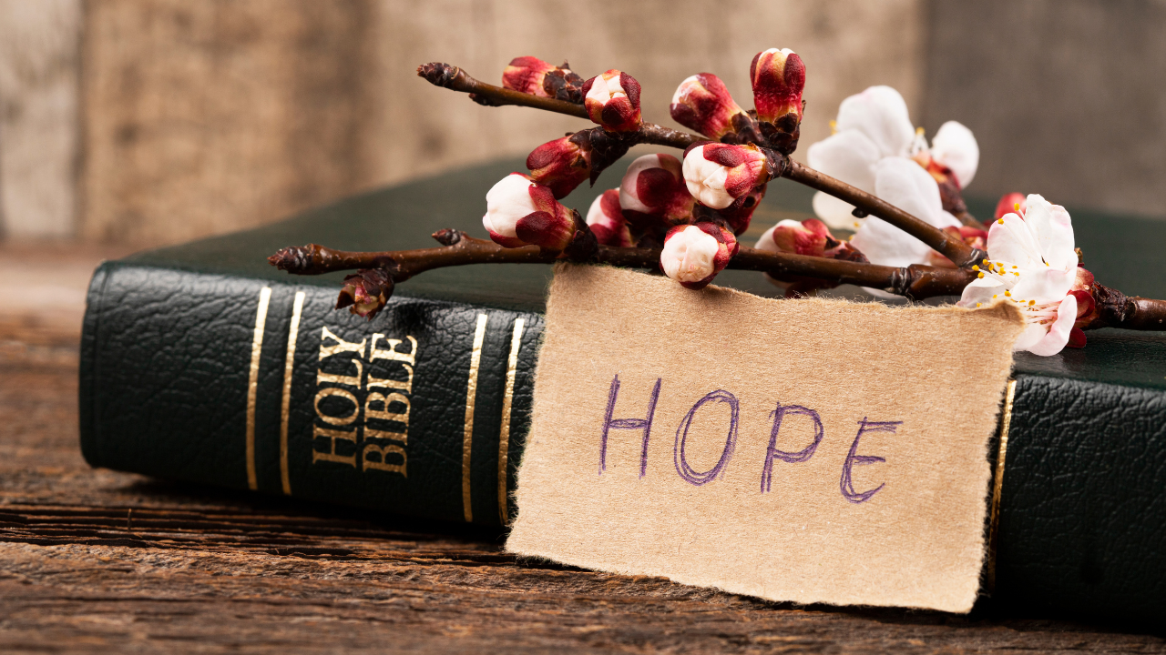 The hope of the gospel is the unwavering hope of eternal life in the gospel of Christ, a firm anchor for the soul.