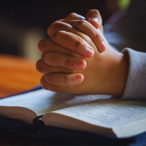 Pray and not lose heart