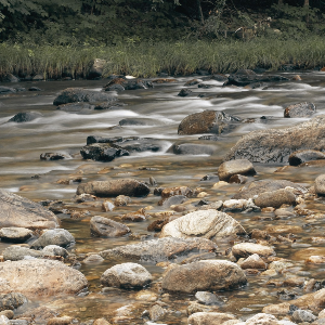 living waters